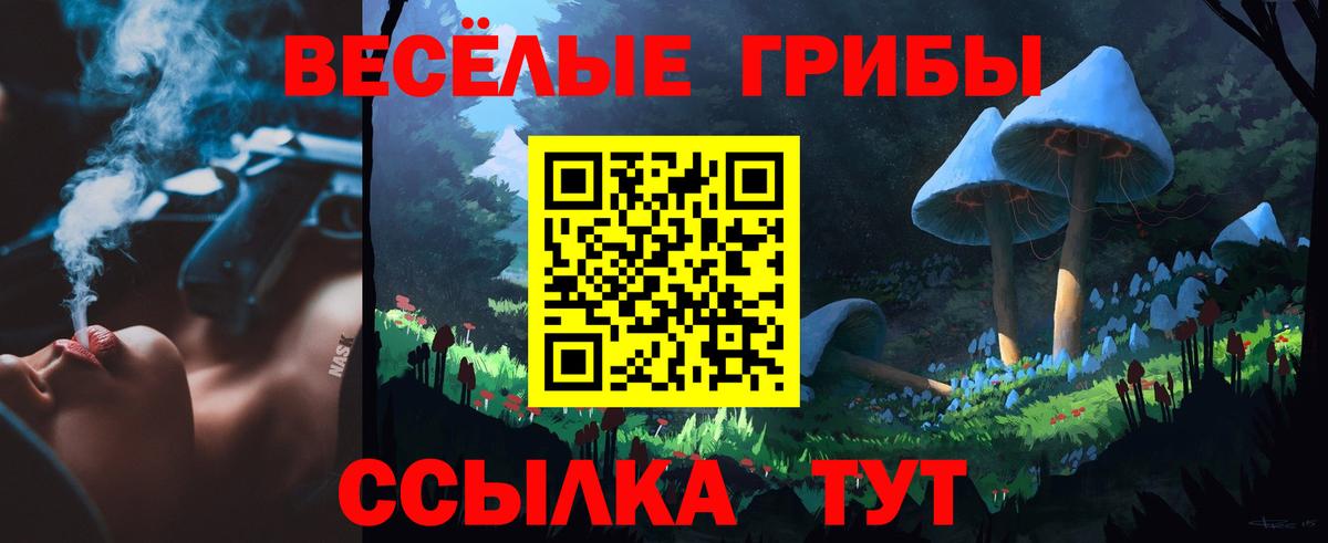 Галлюциногенные грибы мицелий  Вход с VPN  Грязи  Галлюциногенные грибы Cubensis 