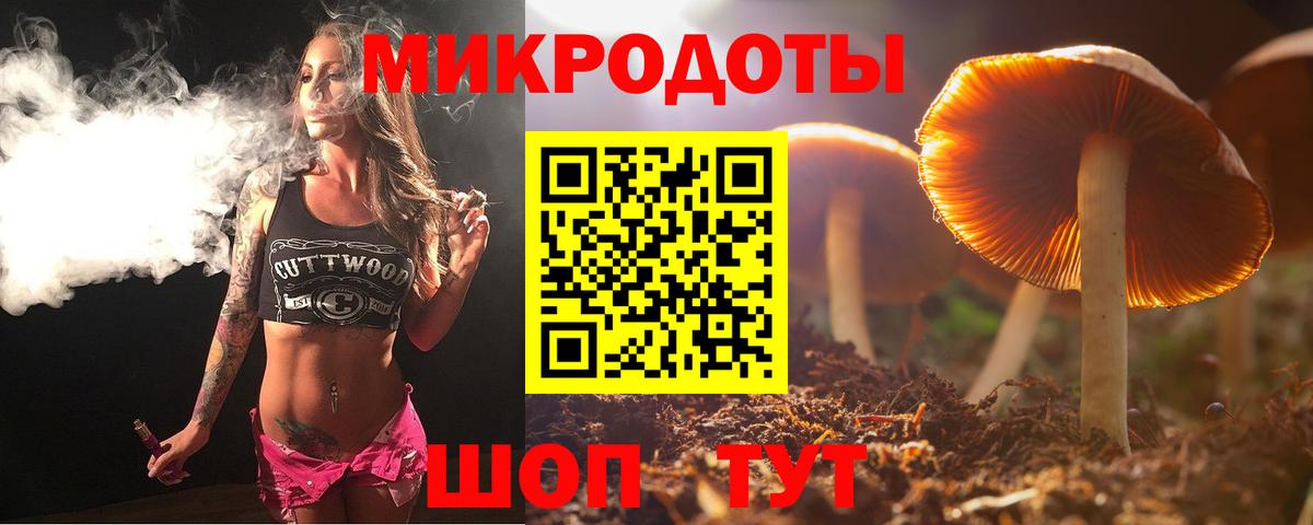 Псилоцибиновые грибы Psilocybine cubensis Грязи